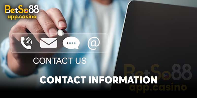 Contact Information