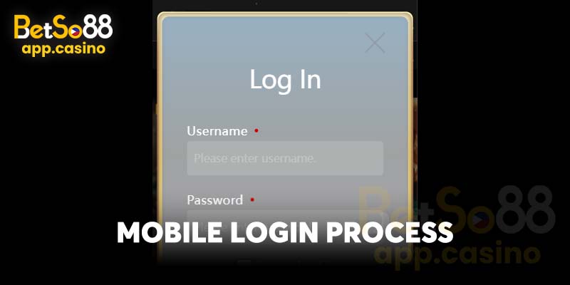 Mobile Login Process