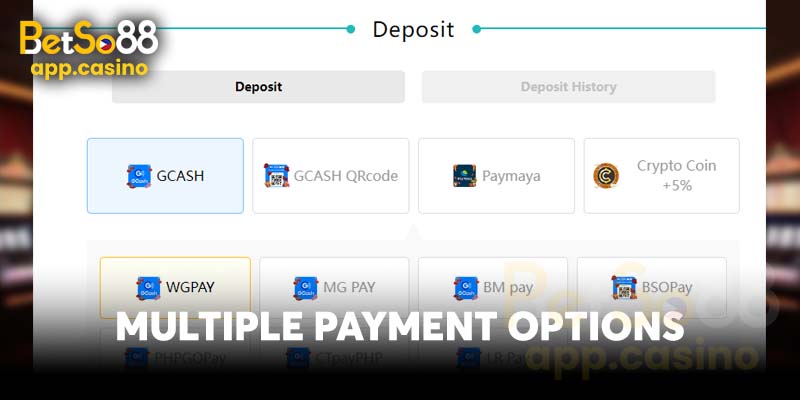 Multiple Payment Options 