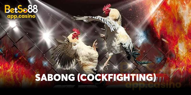 Sabong (cockfighting)