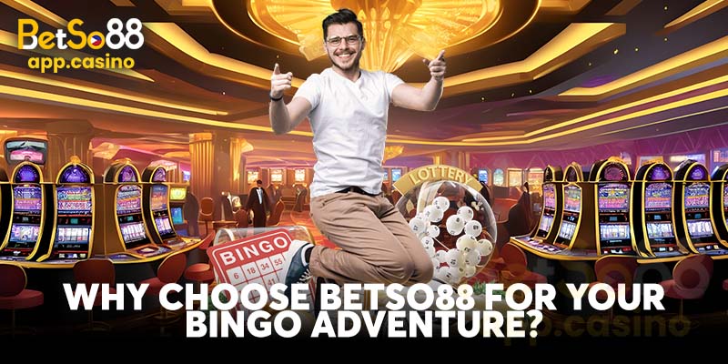 Why Choose Betso88 for Your Bingo Adventure?