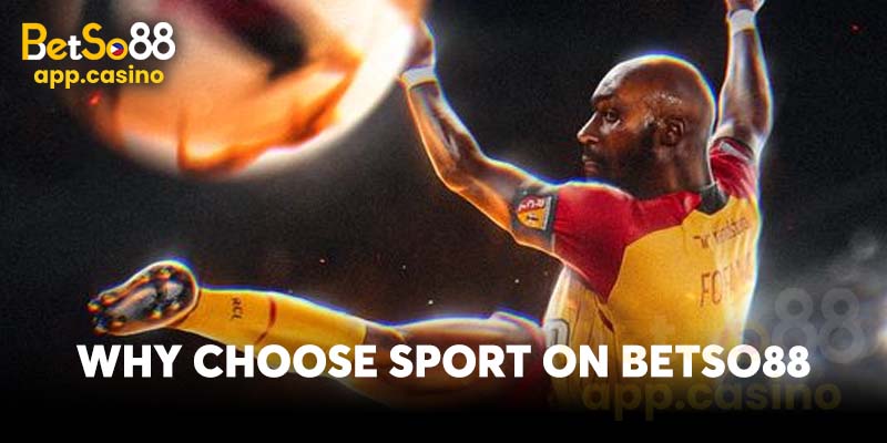 Why choose Sport on Betso88